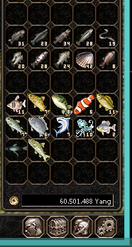 virtualmt21532857992__ryby.png