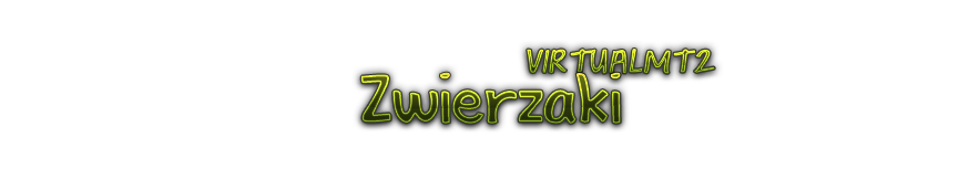 virtualmt21581512973__napis.png