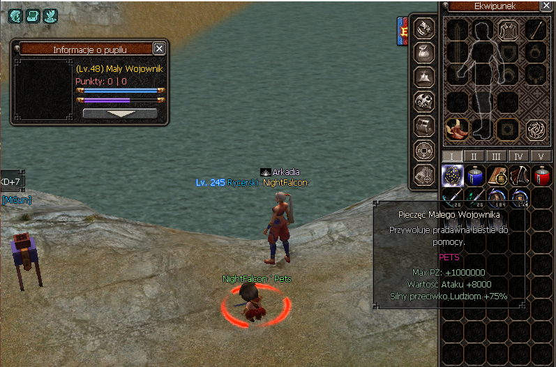 virtualmt21748273637__pet_ninja_245.png