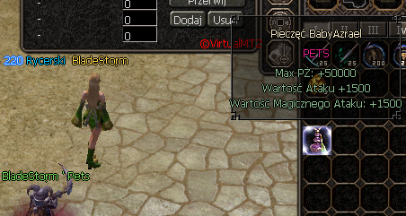 virtualmt21748275069__pet_szaman_220.png