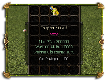 virtualmt21752741099__pet.png