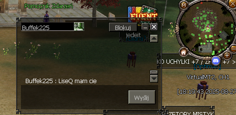 virtualmt21756573933__3.png