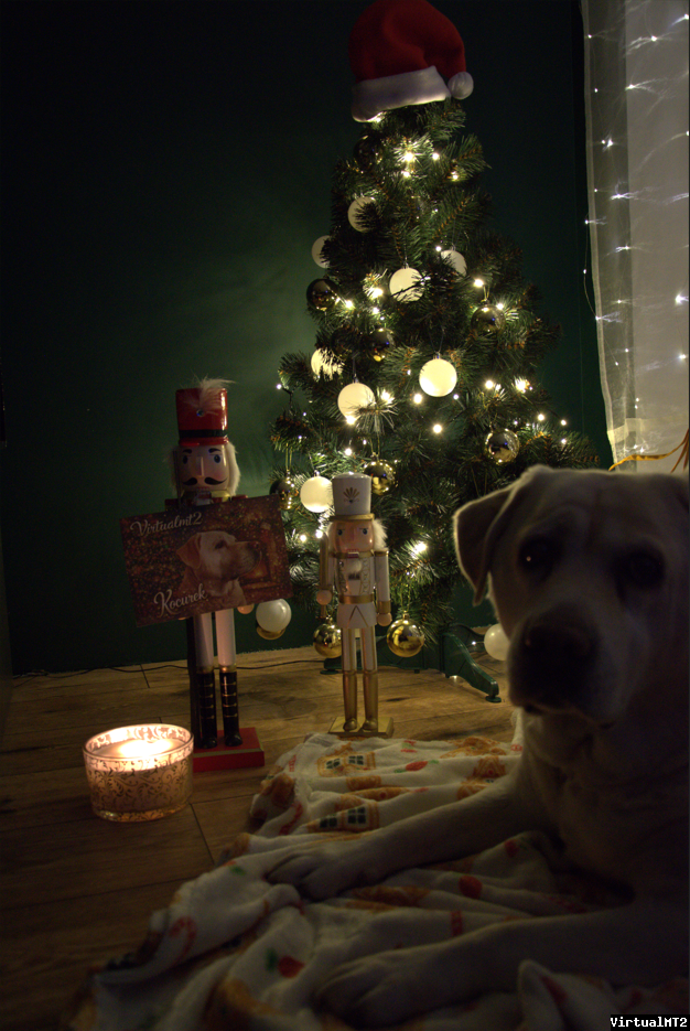 virtualmt21766615317__obraz_2025-12-24_2