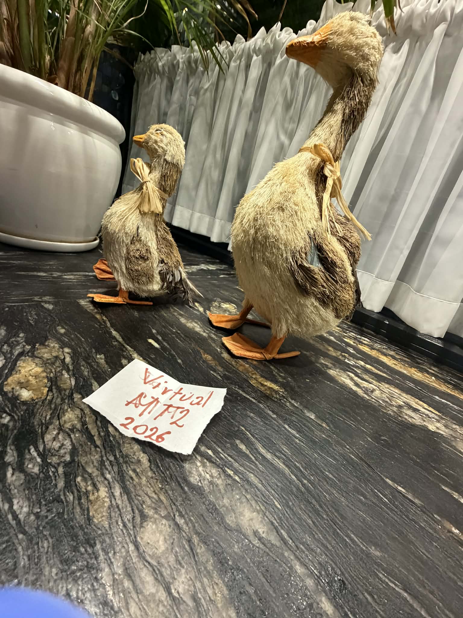 virtualmt21774117657__0e60f831-df2f-444a